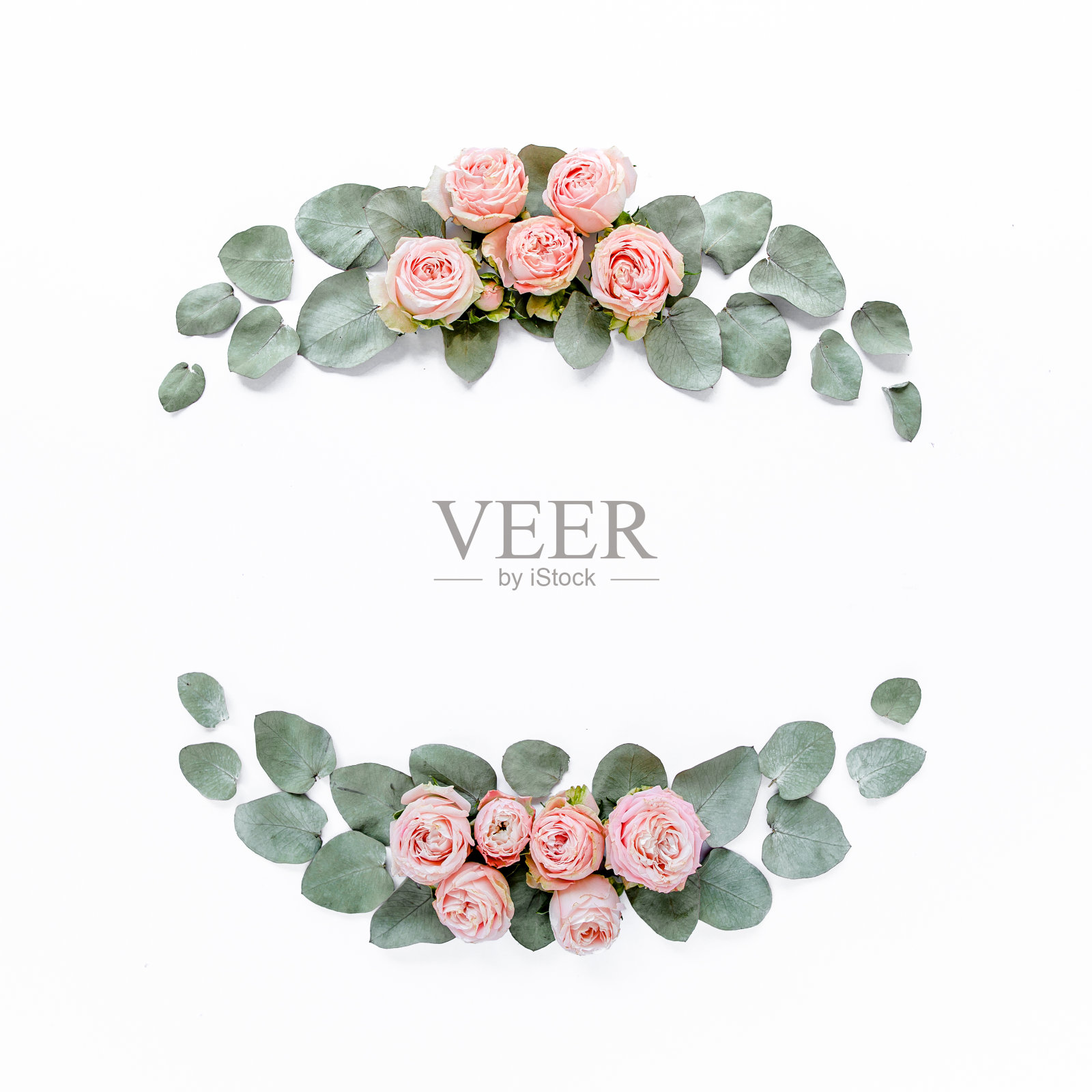 框架由粉红色玫瑰，绿叶桉树，树枝，花图案在白色的背景。平躺，俯视图。情人节的背景照片摄影图片