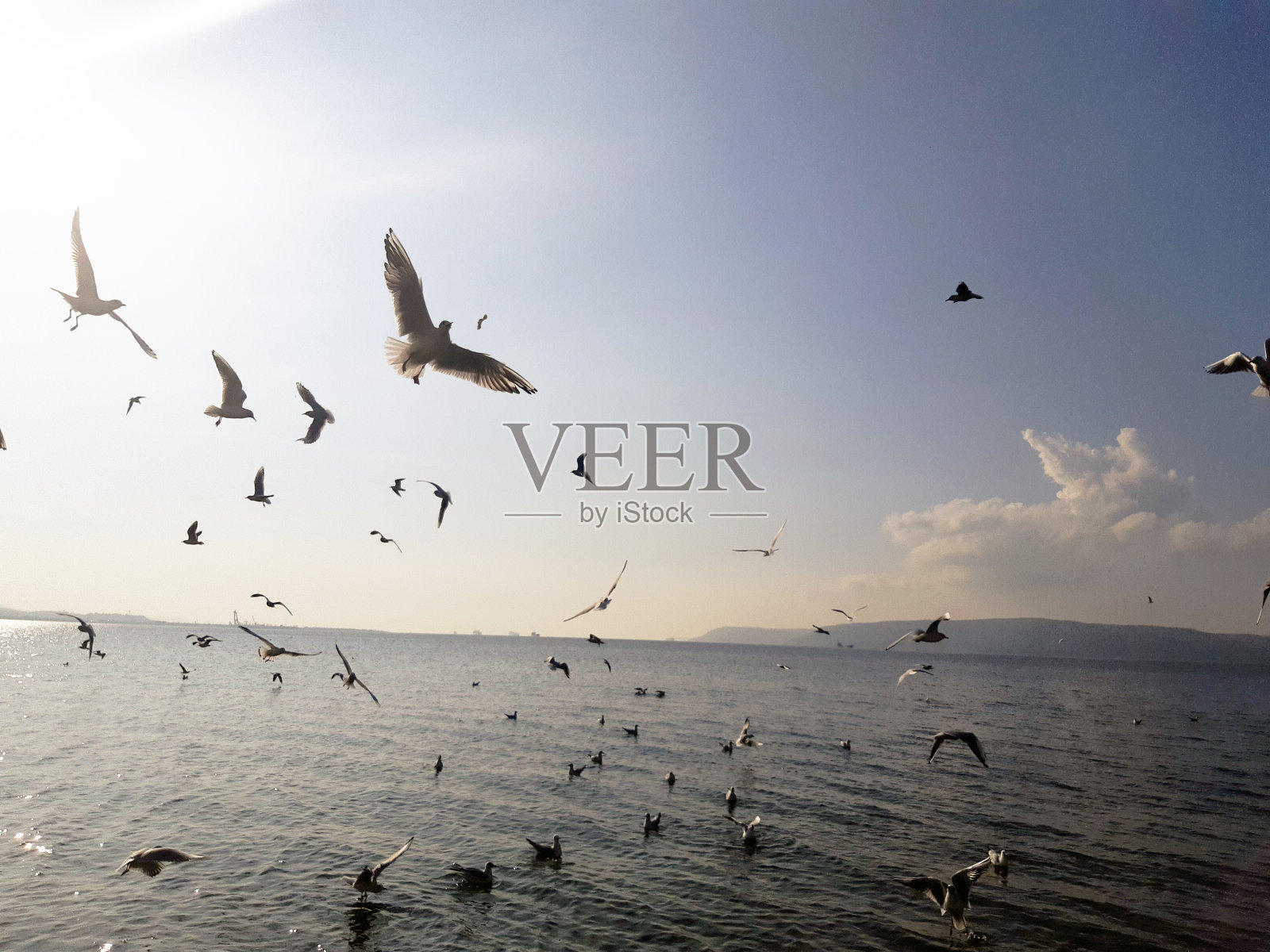 景观照片摄影图片