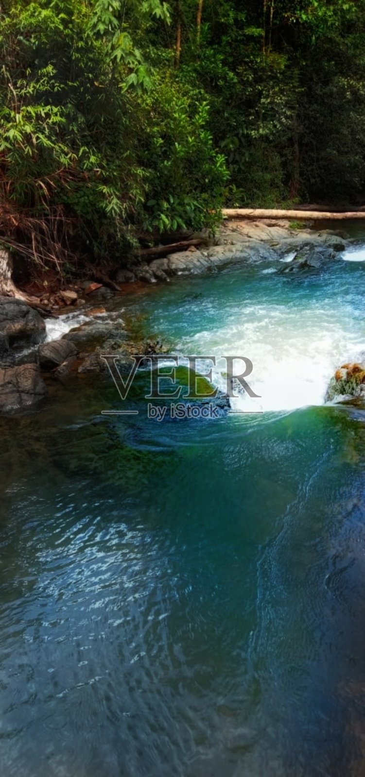森林河边之旅照片摄影图片