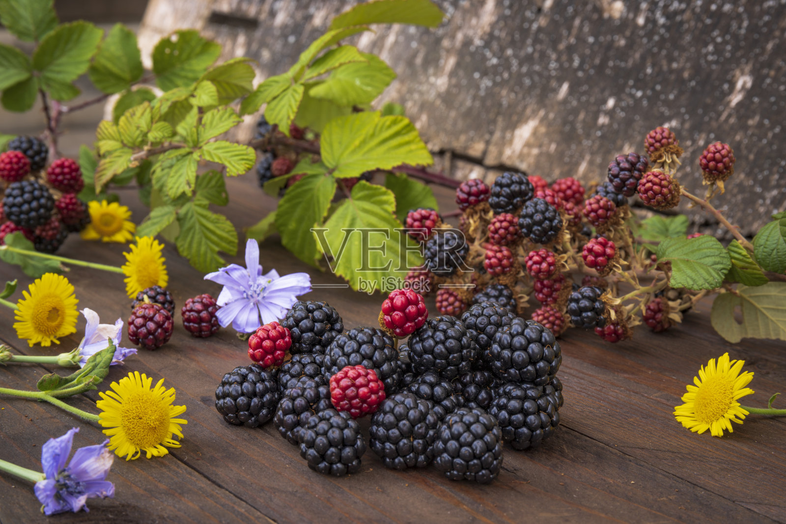 森林的果实。木桌上放着黑色和红色的浆果和鲜花照片摄影图片