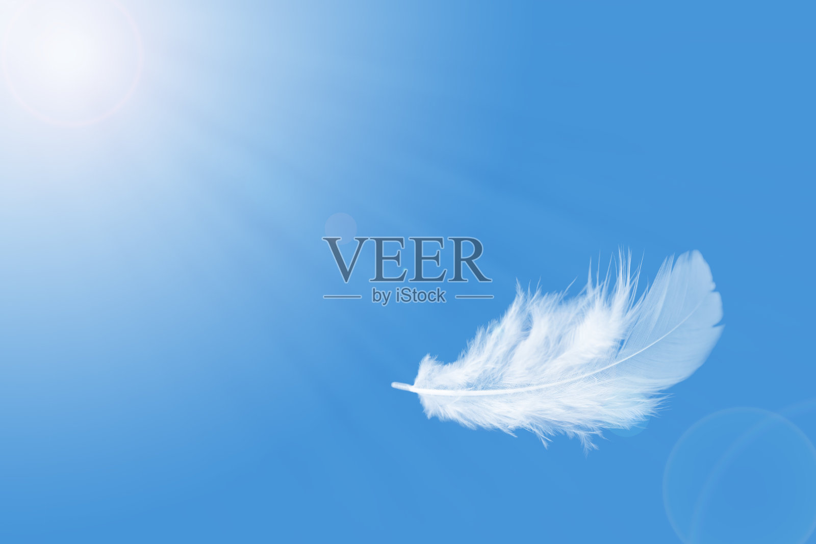 羽毛抽象自由概念的背景。蓝色的天空中飘浮着轻盈柔软的白色羽毛。照片摄影图片