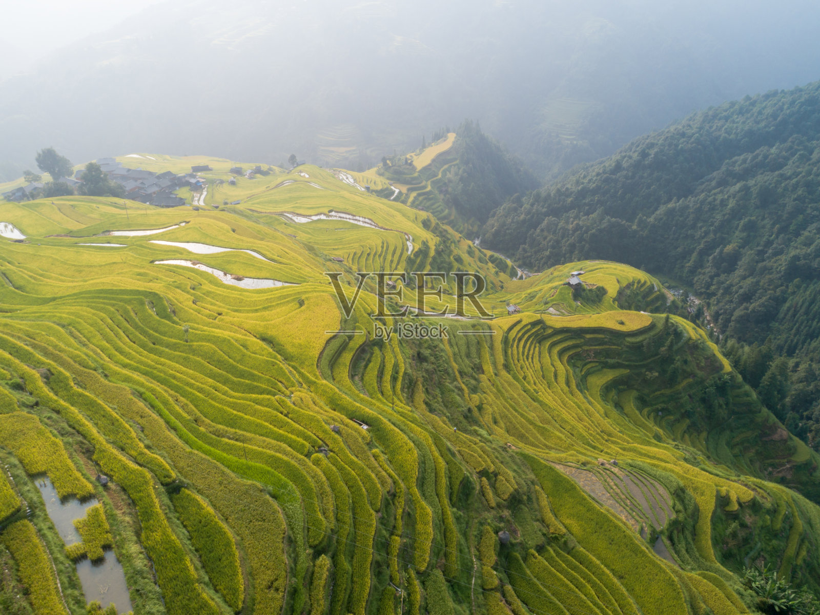 中国美丽的梯田和小房子照片摄影图片
