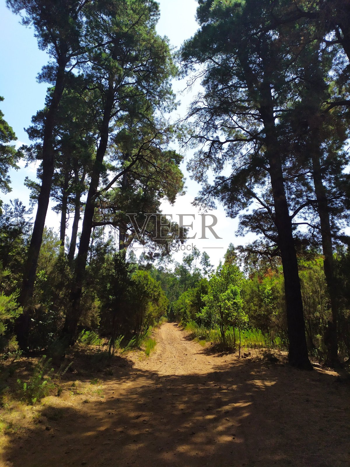 小道照片摄影图片