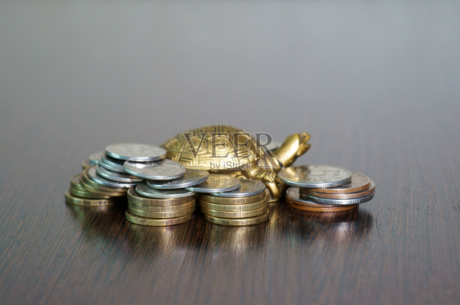 金属龟与硬币在统一的背景。照片摄影图片