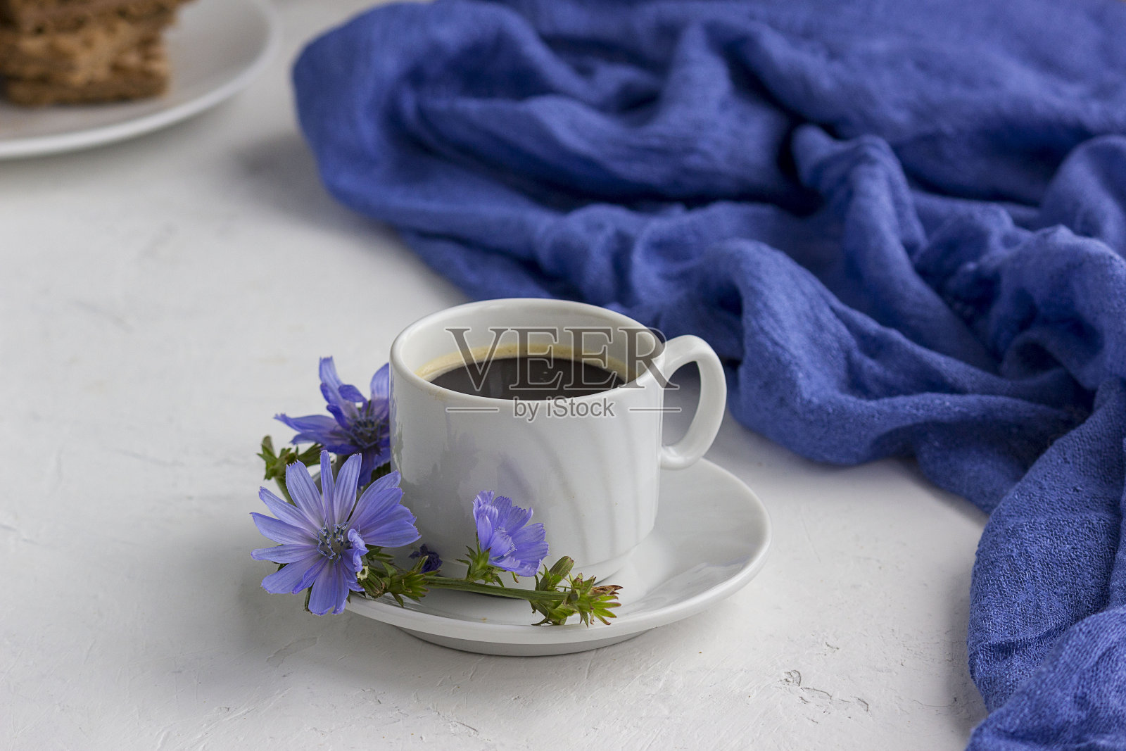 减肥喝一杯菊苣，代咖啡。Cichorium intybus花。照片摄影图片