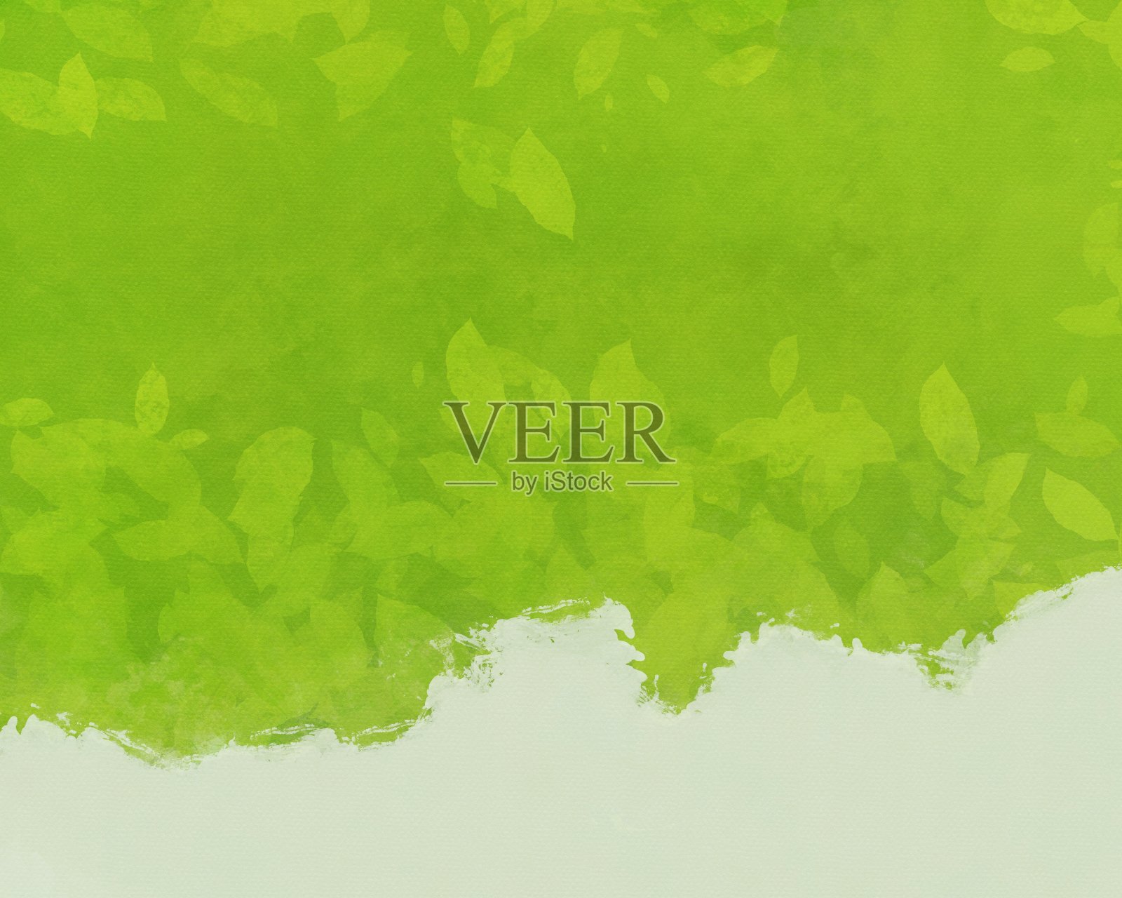 绿叶壁纸背景插画图片素材