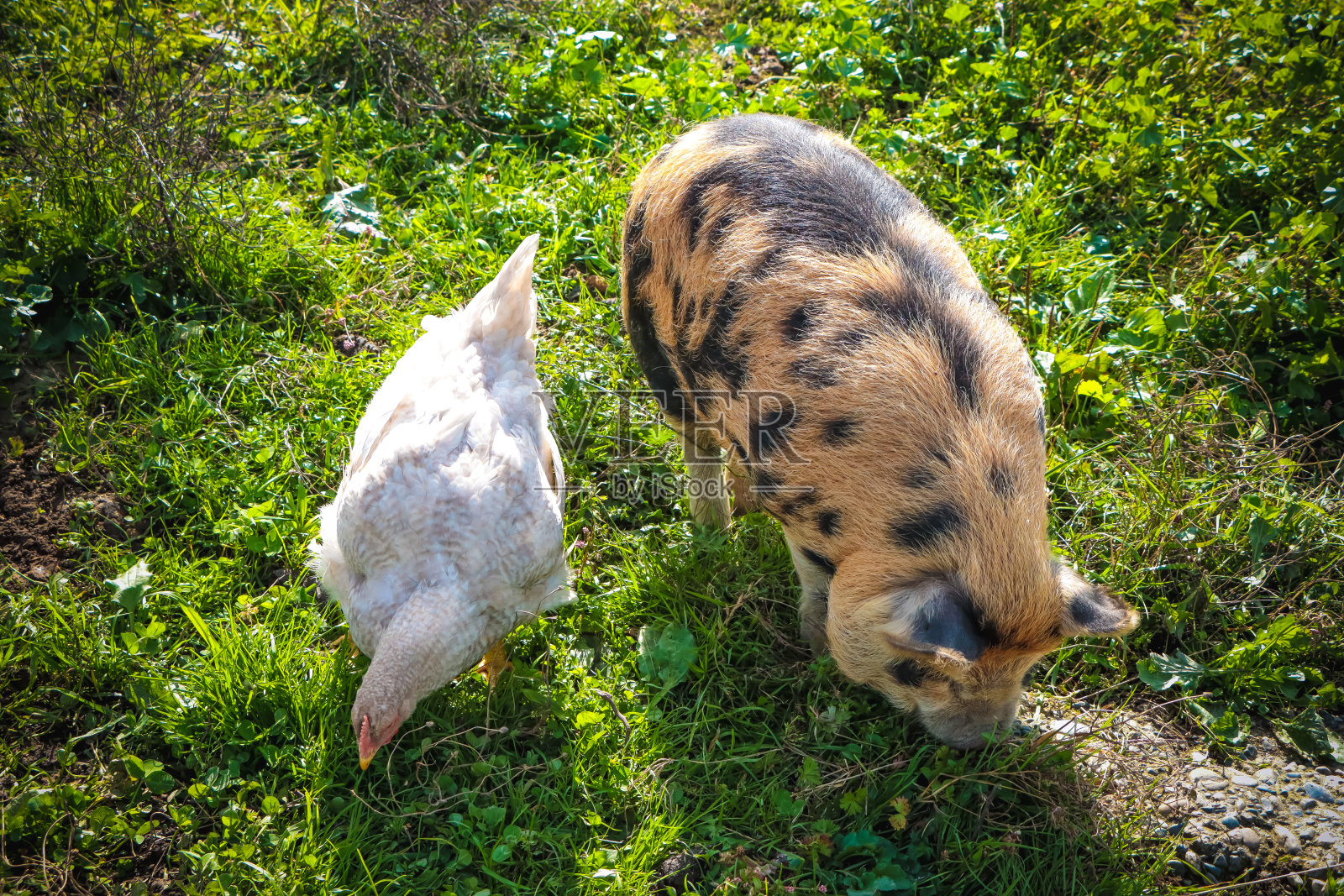 弯弯曲曲照片摄影图片