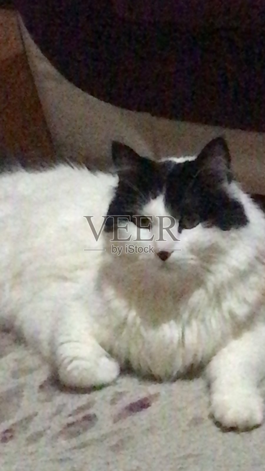 爱照片摄影图片