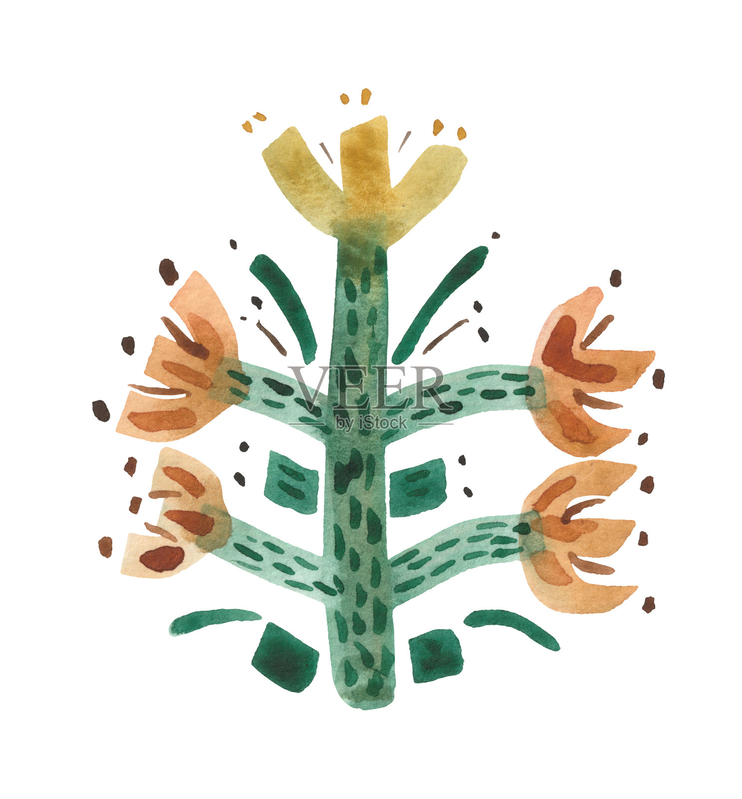 原始主义风格的干花水彩画插画图片素材