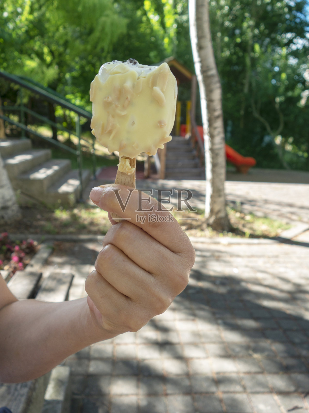 手持巧克力冰棒的女人的手在自然背景下照片摄影图片