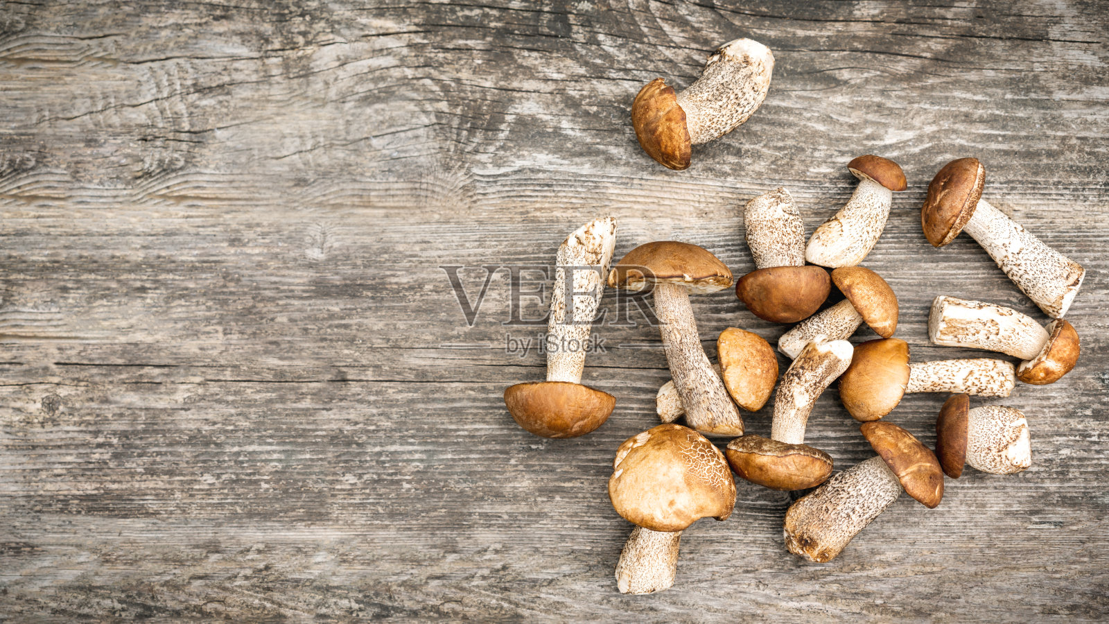 木桌上放着一组森林白色的食用蘑菇照片摄影图片