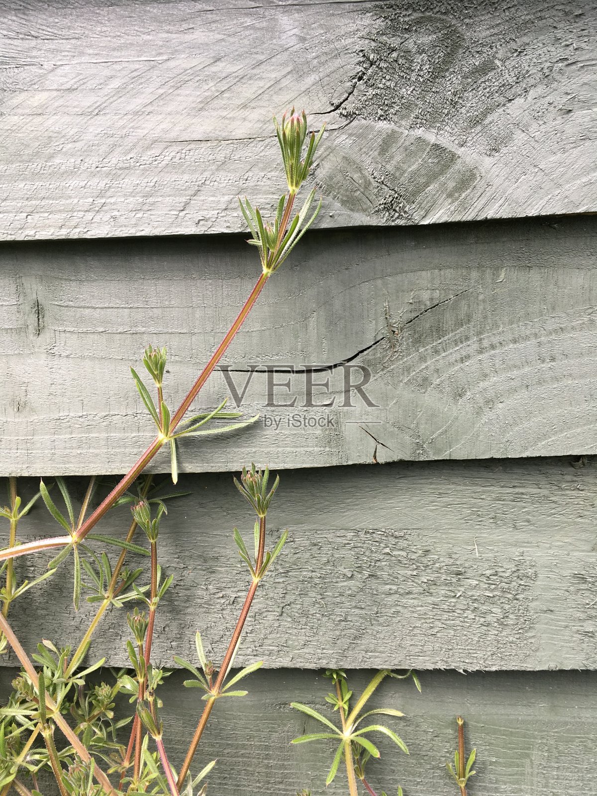 阀杆照片摄影图片