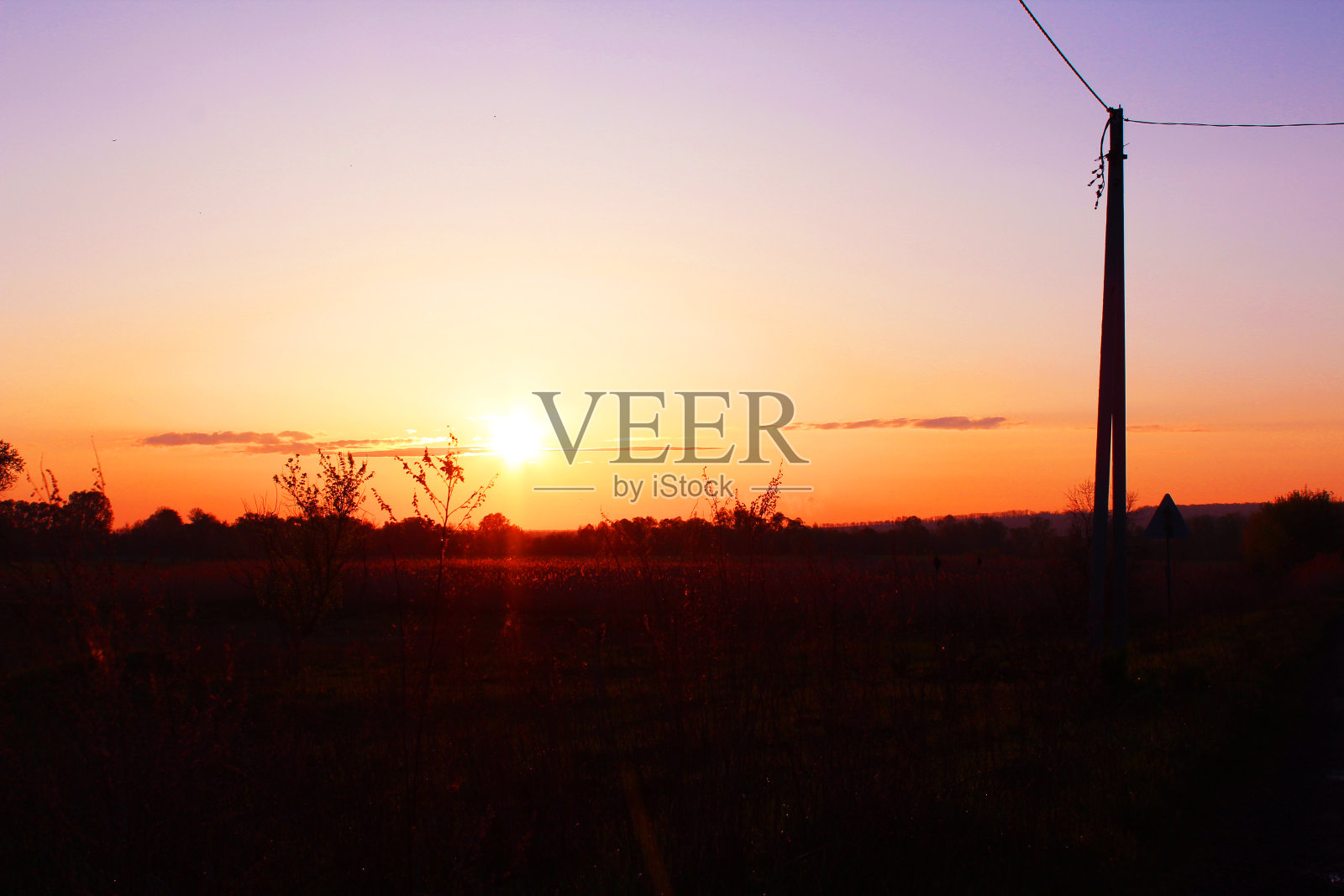 美丽的日落在乡间小路上，前面是树木和芦苇照片摄影图片