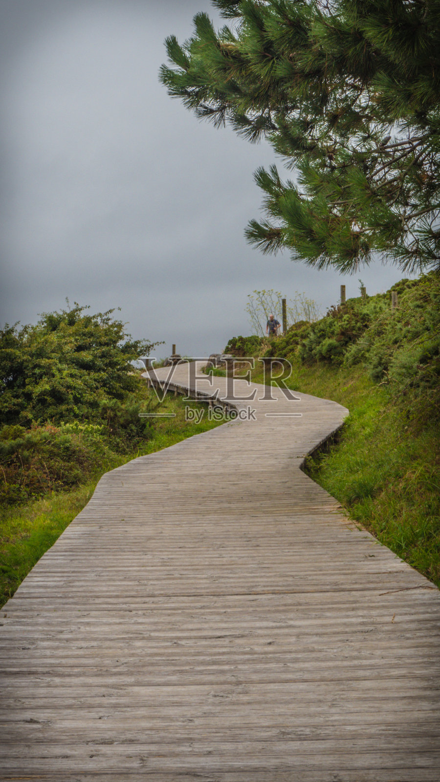 在多云的天空中迷失的木板路照片摄影图片