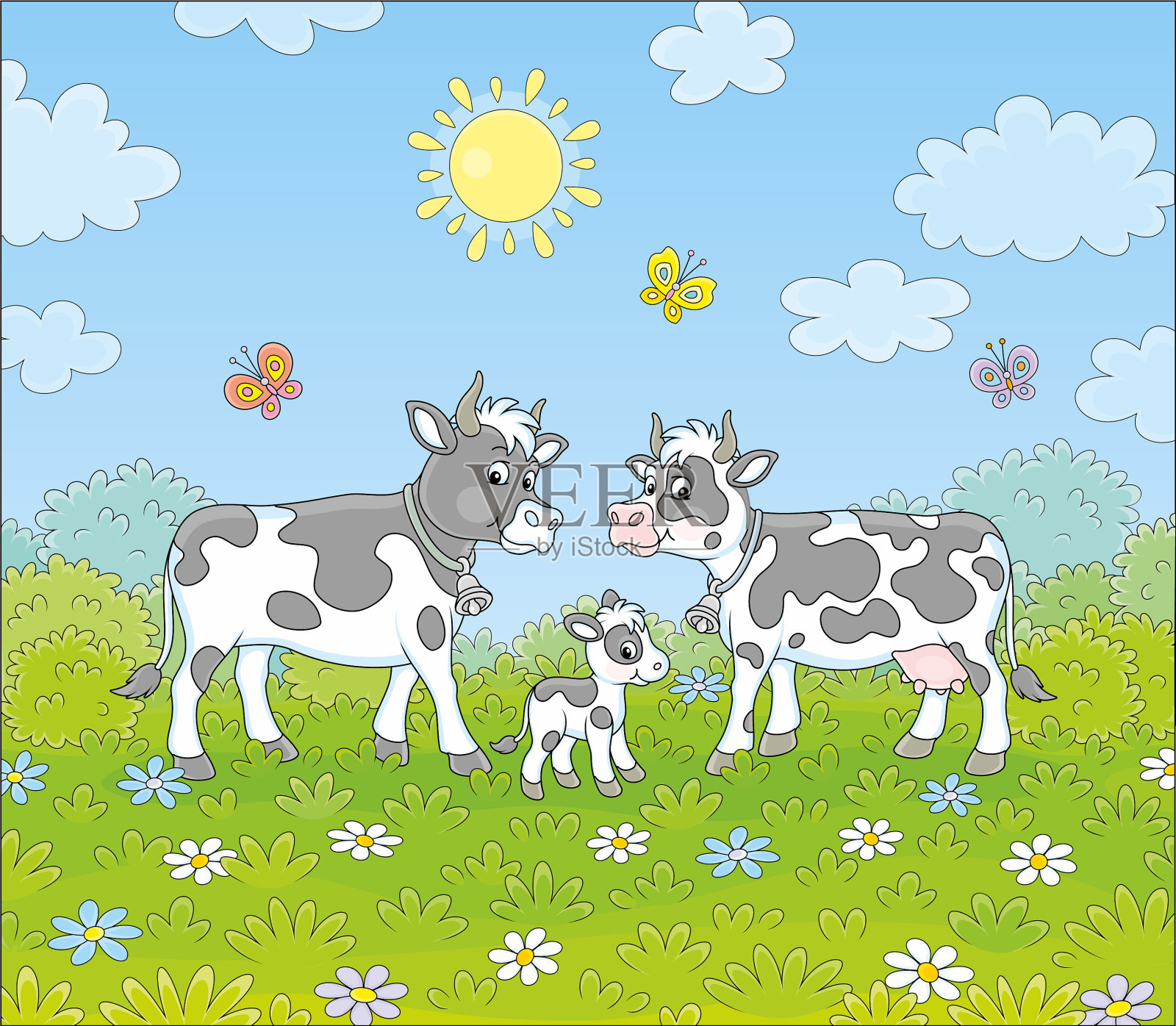 斑点奶牛一家人在绿色的田野上散步插画图片素材