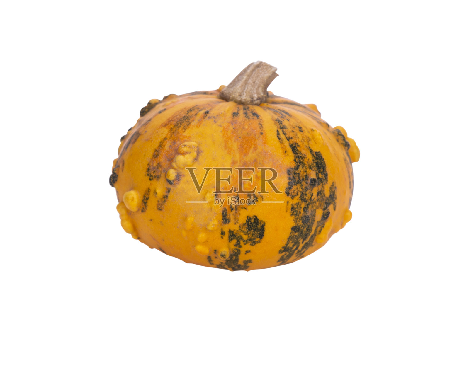 孤秋绿南瓜黄照片摄影图片