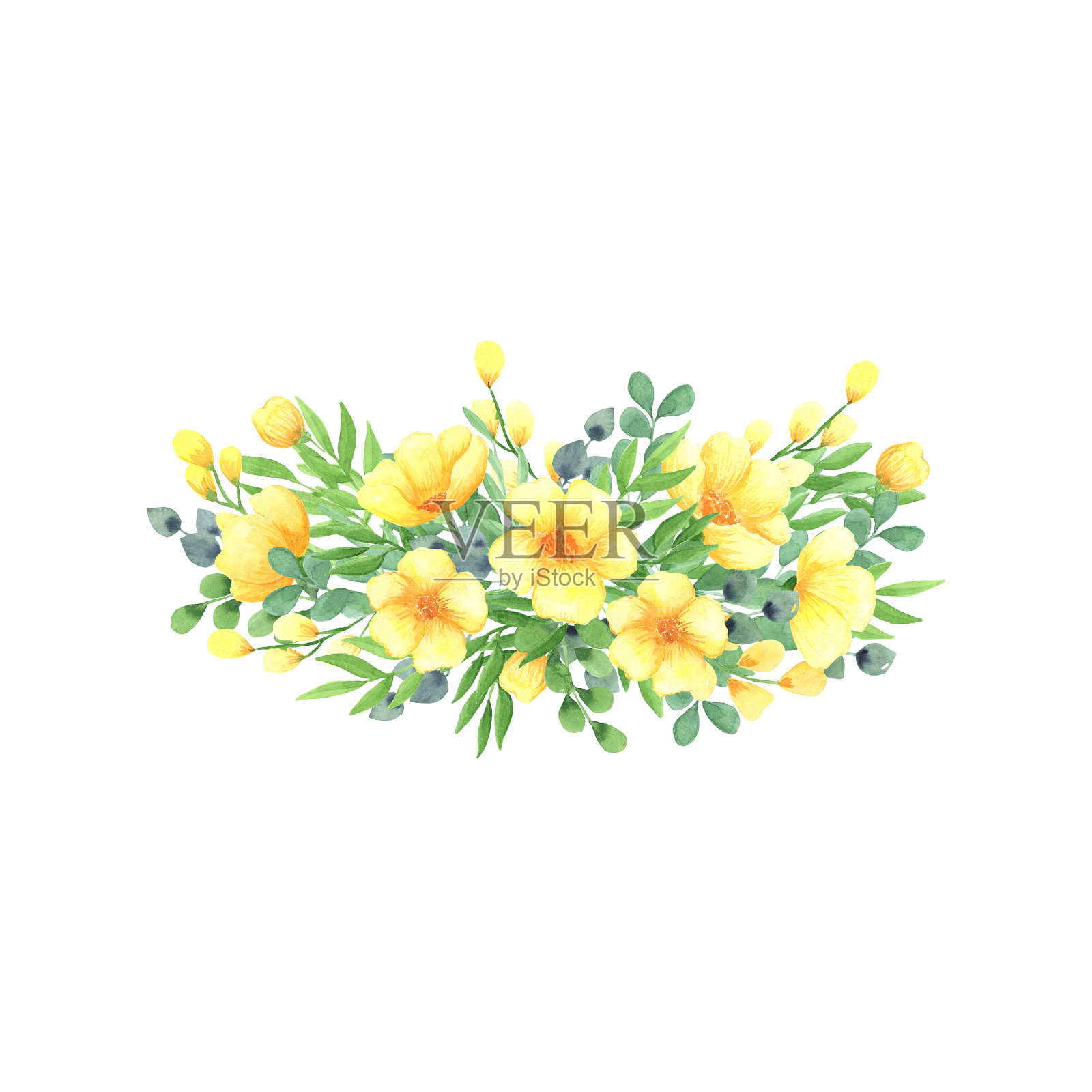 水彩插图黄色的花和绿叶的树枝孤立在一个白色的背景插画图片素材