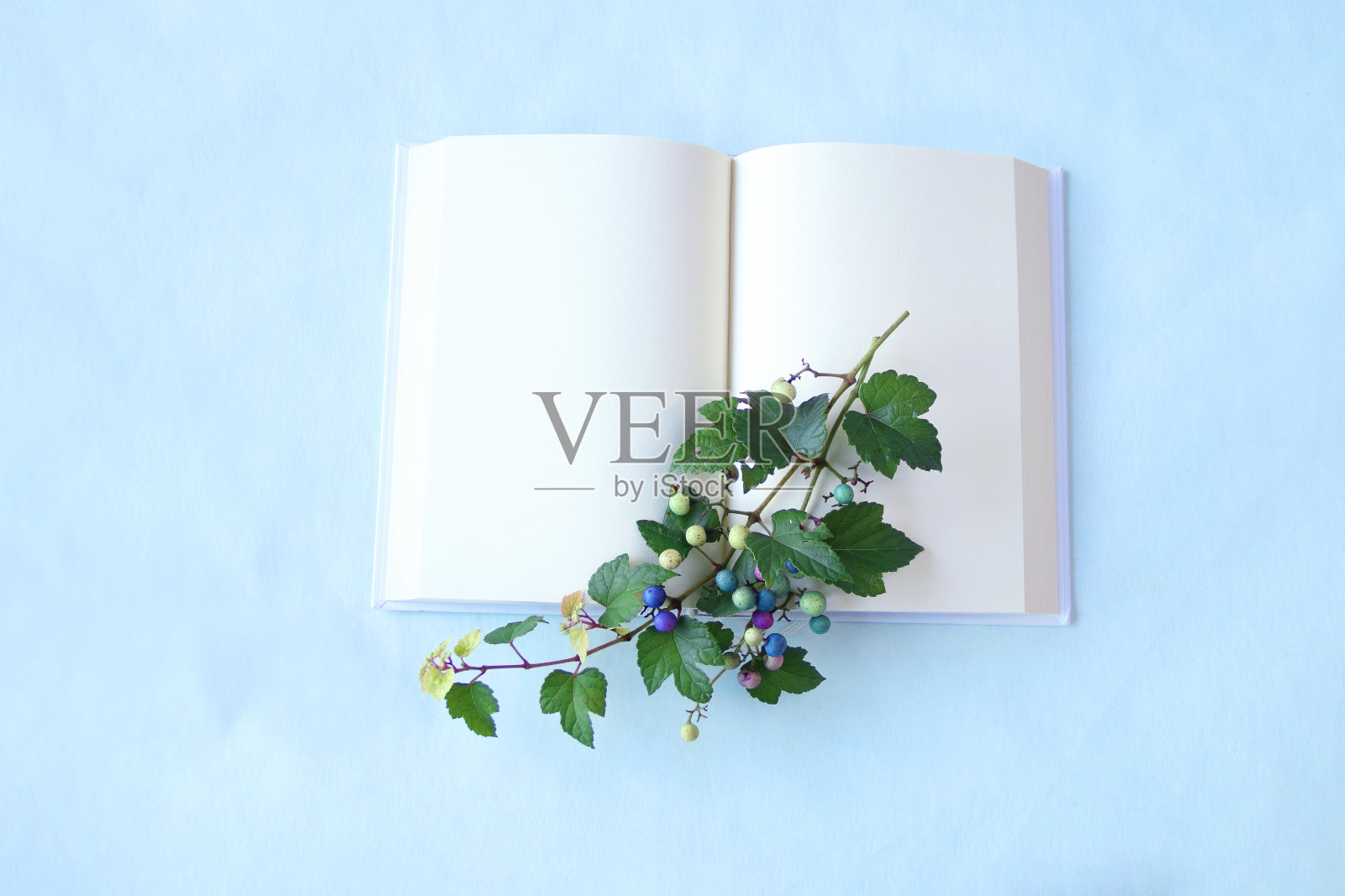 野葡萄书照片摄影图片