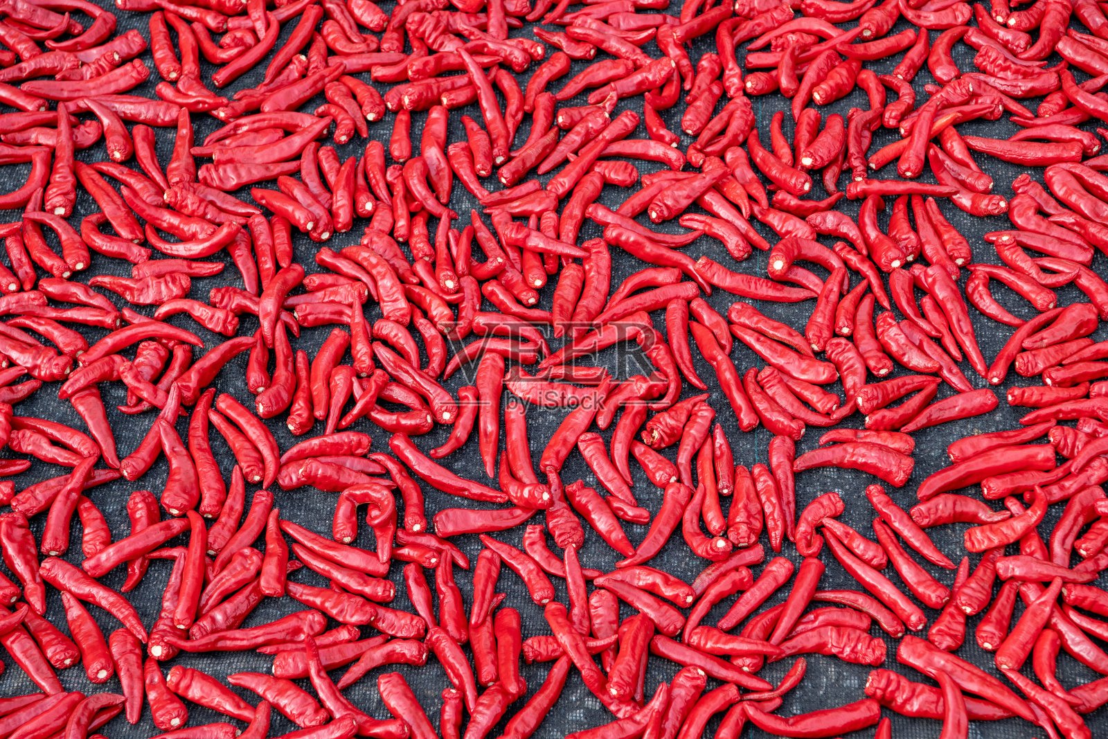 红辣椒照片摄影图片