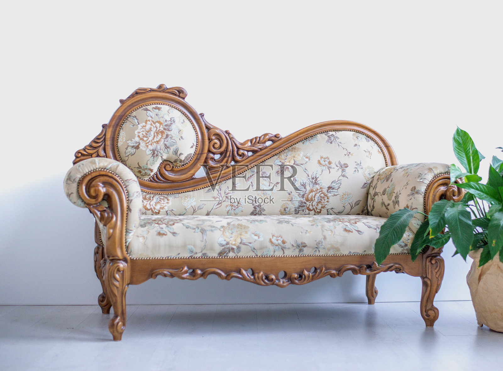 现代漂亮的沙发在一个白色的背景和一个花在角落照片摄影图片