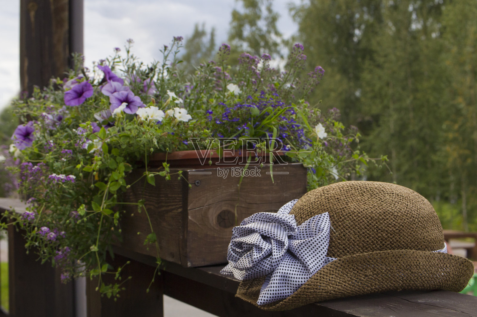 女士们的帽子以花为背景照片摄影图片