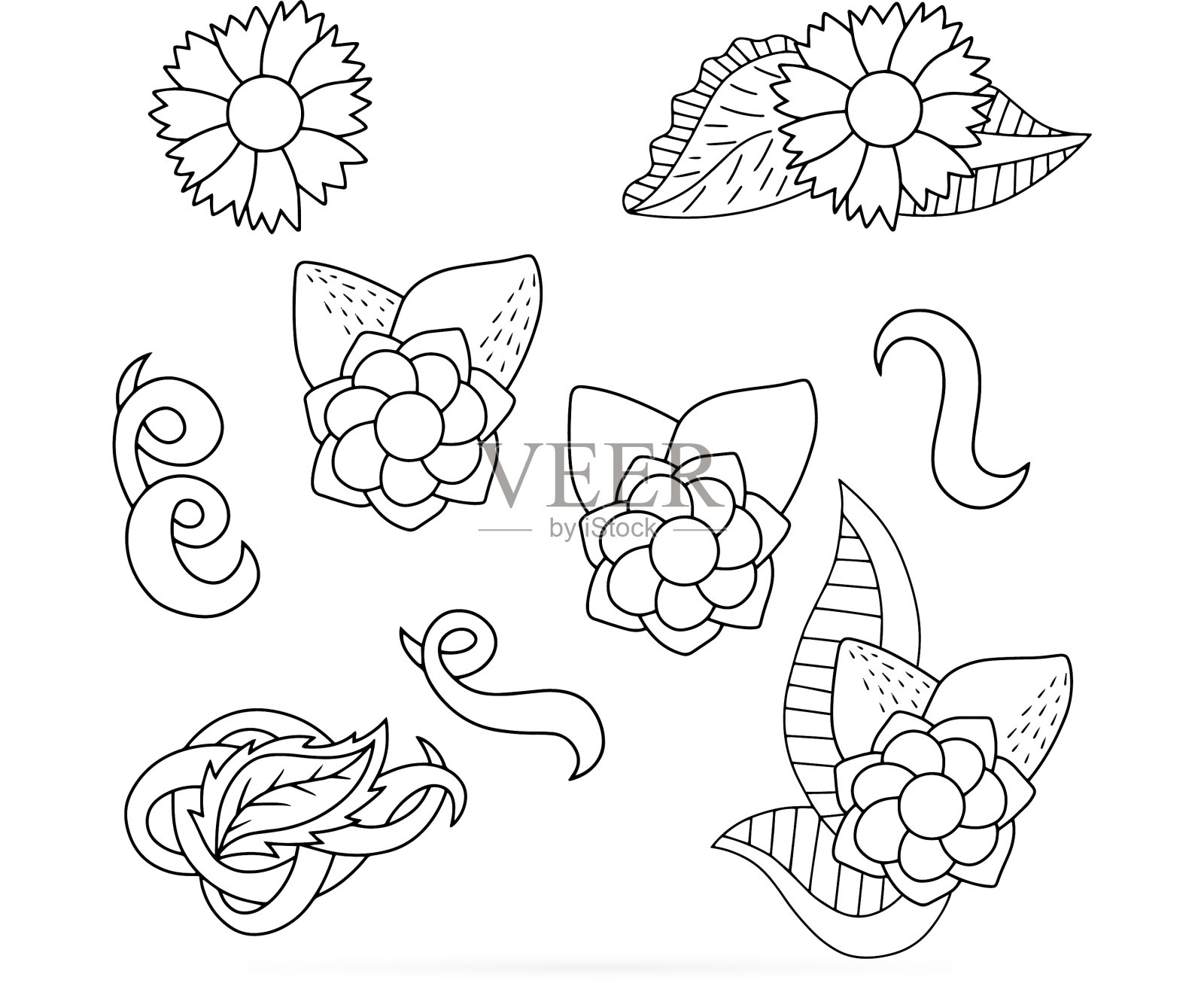 用叶子涂色抗逆性花插画图片素材