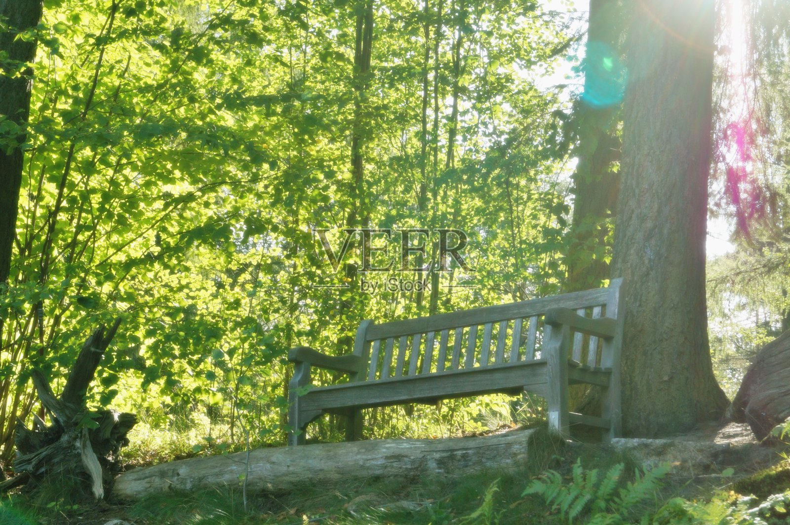 流连忘返的田园诗般的地方照片摄影图片