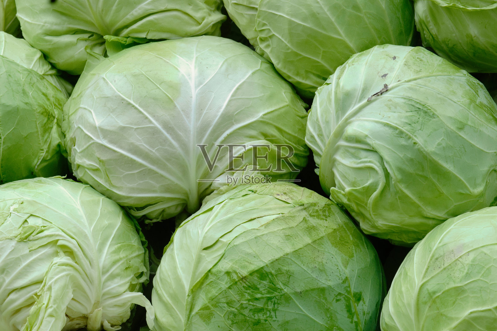 各种卷心菜在市场摊位上照片摄影图片