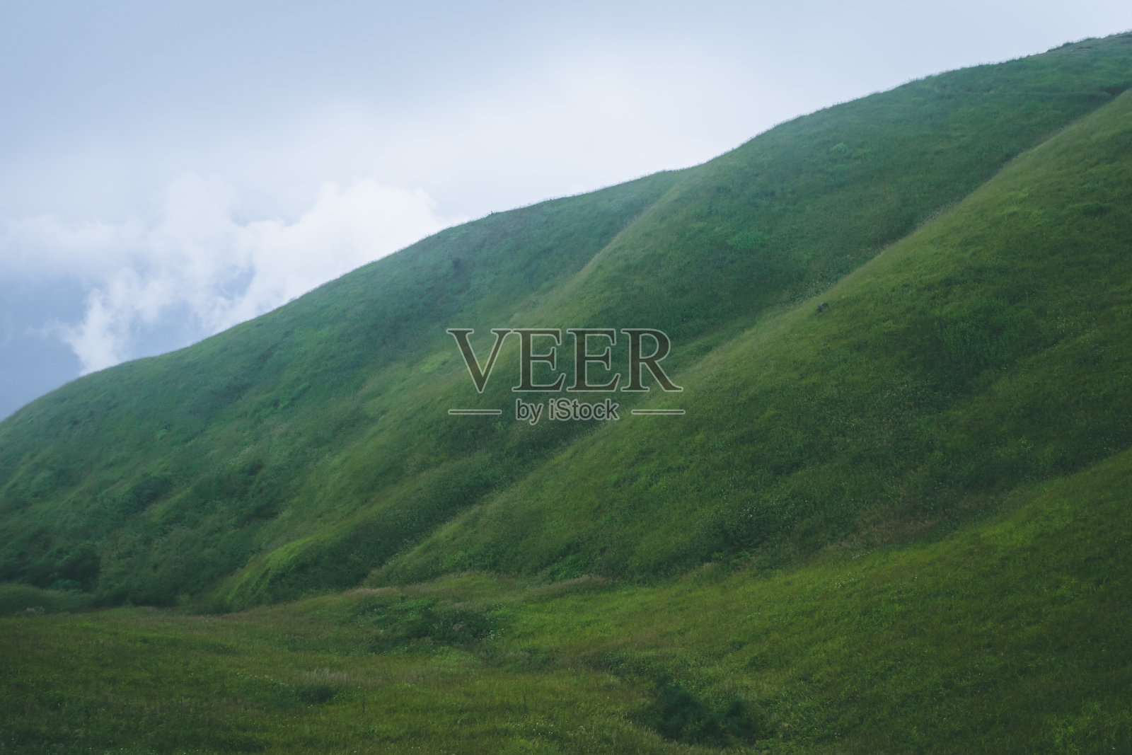 中国江西省武公山的草甸景观与山被云覆盖照片摄影图片