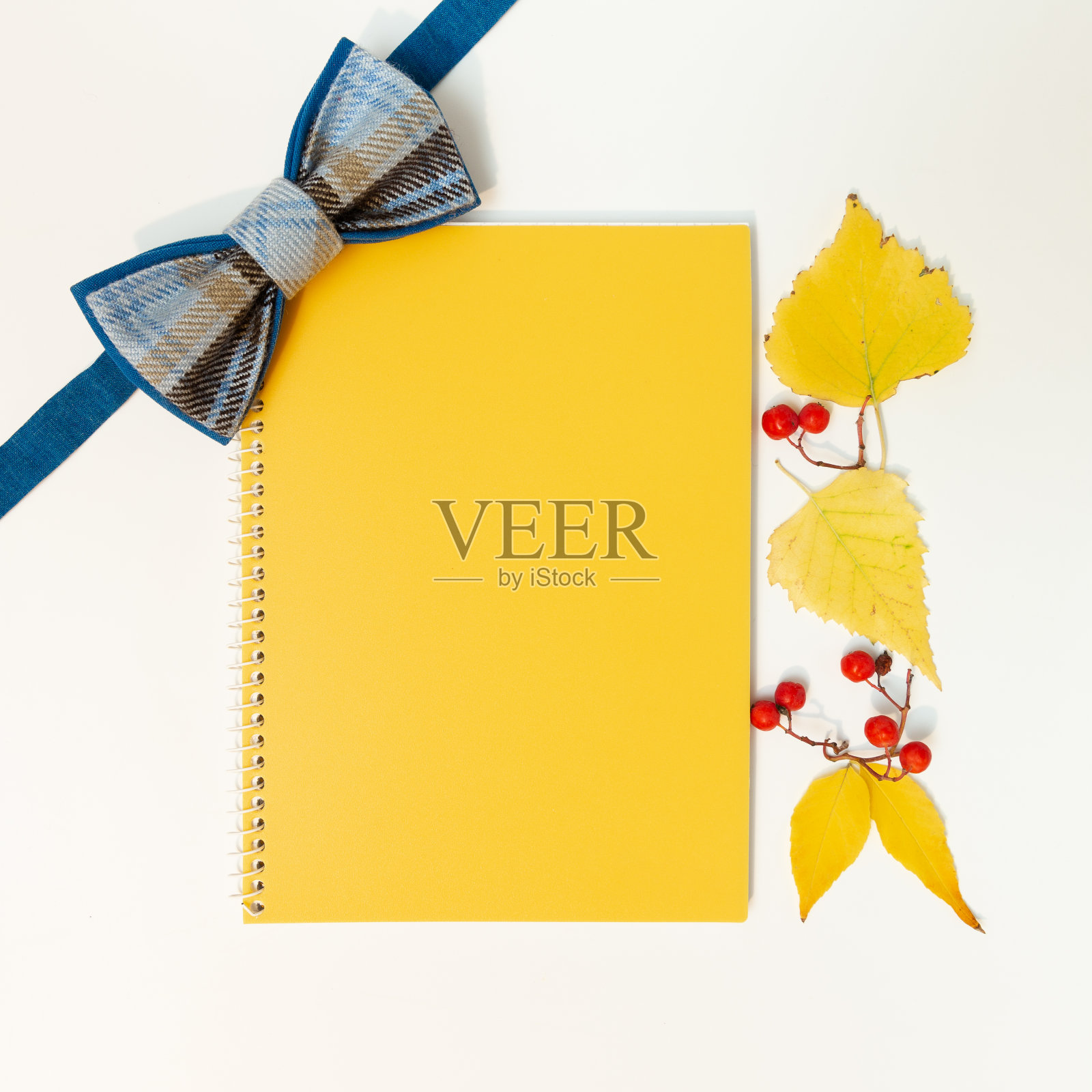 模型空白的旗帜上的一个秋天的主题-领结，笔记本和黄叶。照片摄影图片