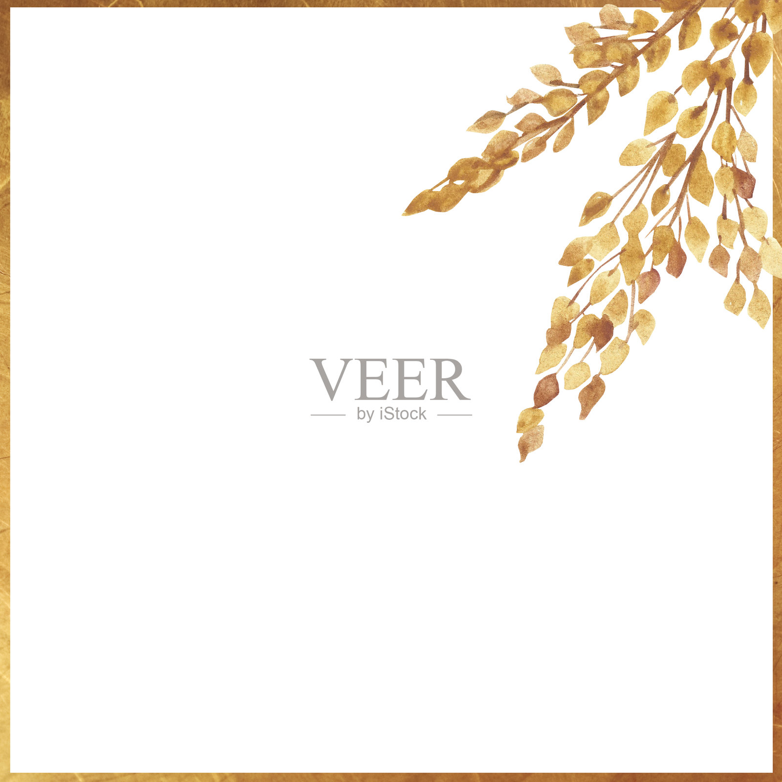 水彩手绘自然谷物田方框与黄色谷物穗束和金色边框组成在白色背景邀请和问候卡与文字空间插画图片素材