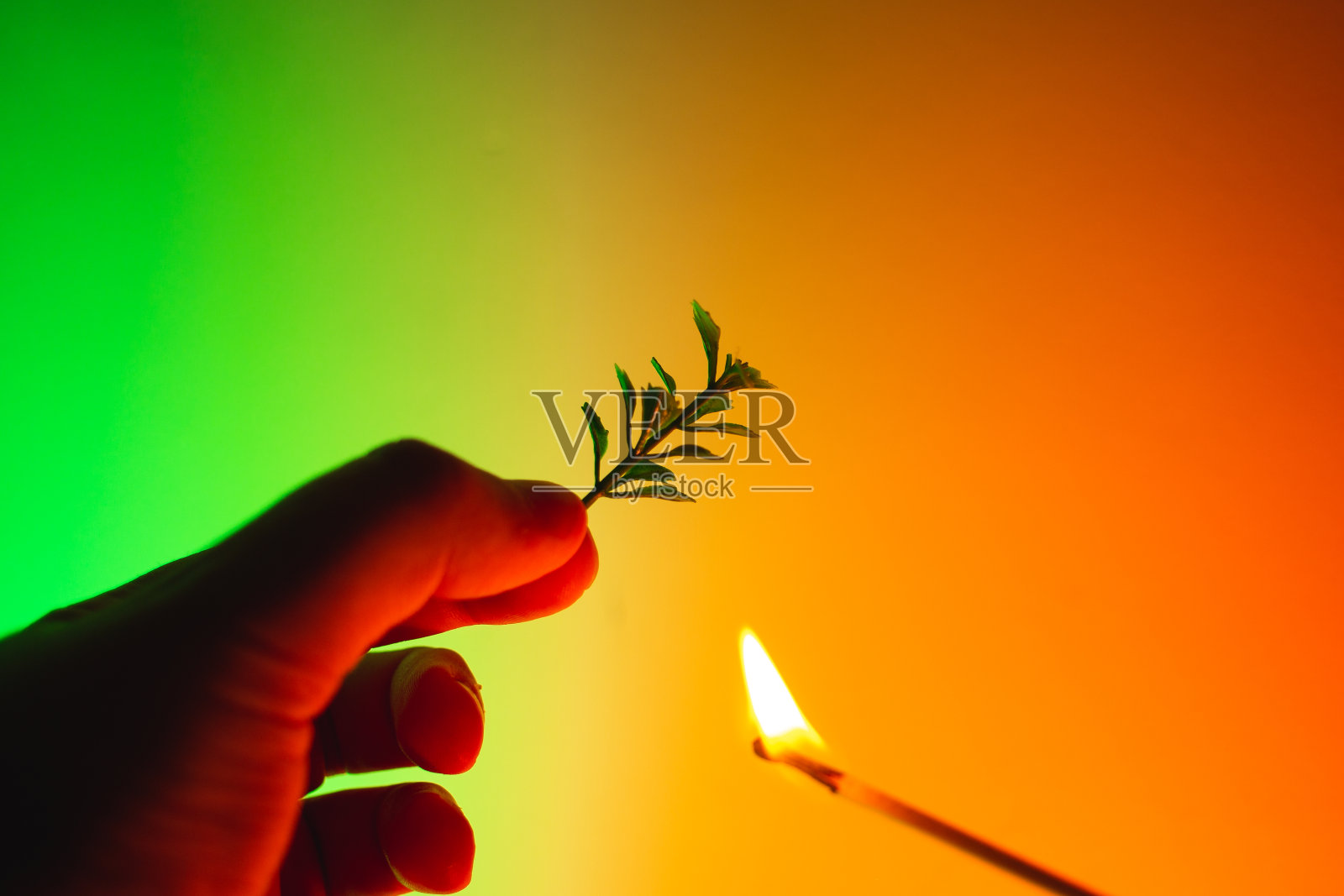 巴西亚马逊大火照片摄影图片