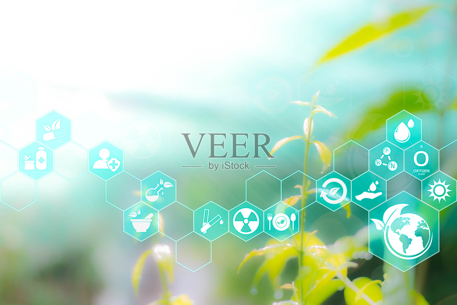 农业和科技抽象概念，未来ai虚拟图标与可持续能源，替代医学，天然草药，在自由空间模糊温柔的艺术自然背景照片摄影图片