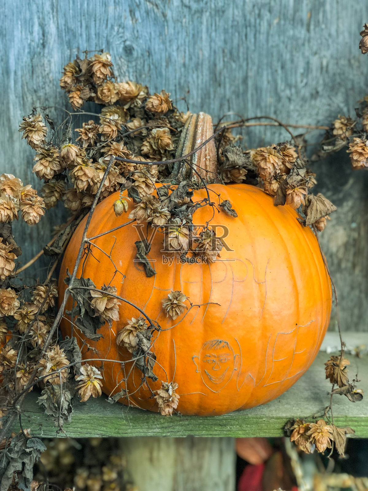 秋天的静物与南瓜。照片摄影图片