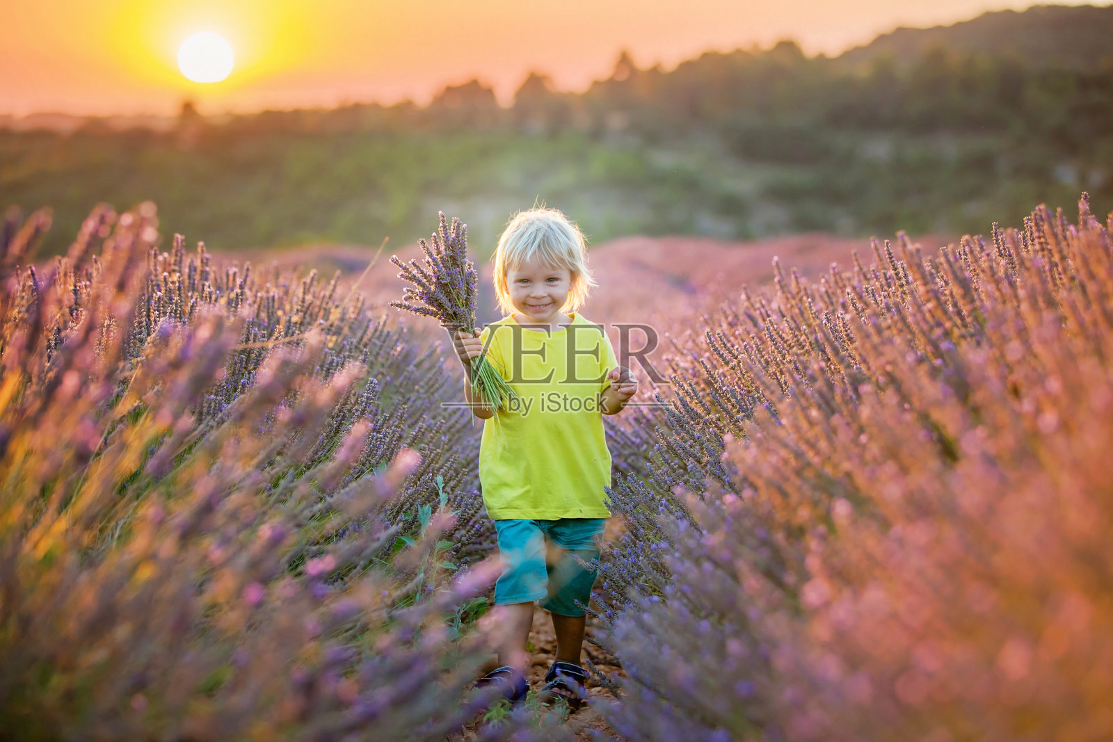 可爱的小男孩，美丽的男孩，在薰衣草的田野里玩耍照片摄影图片