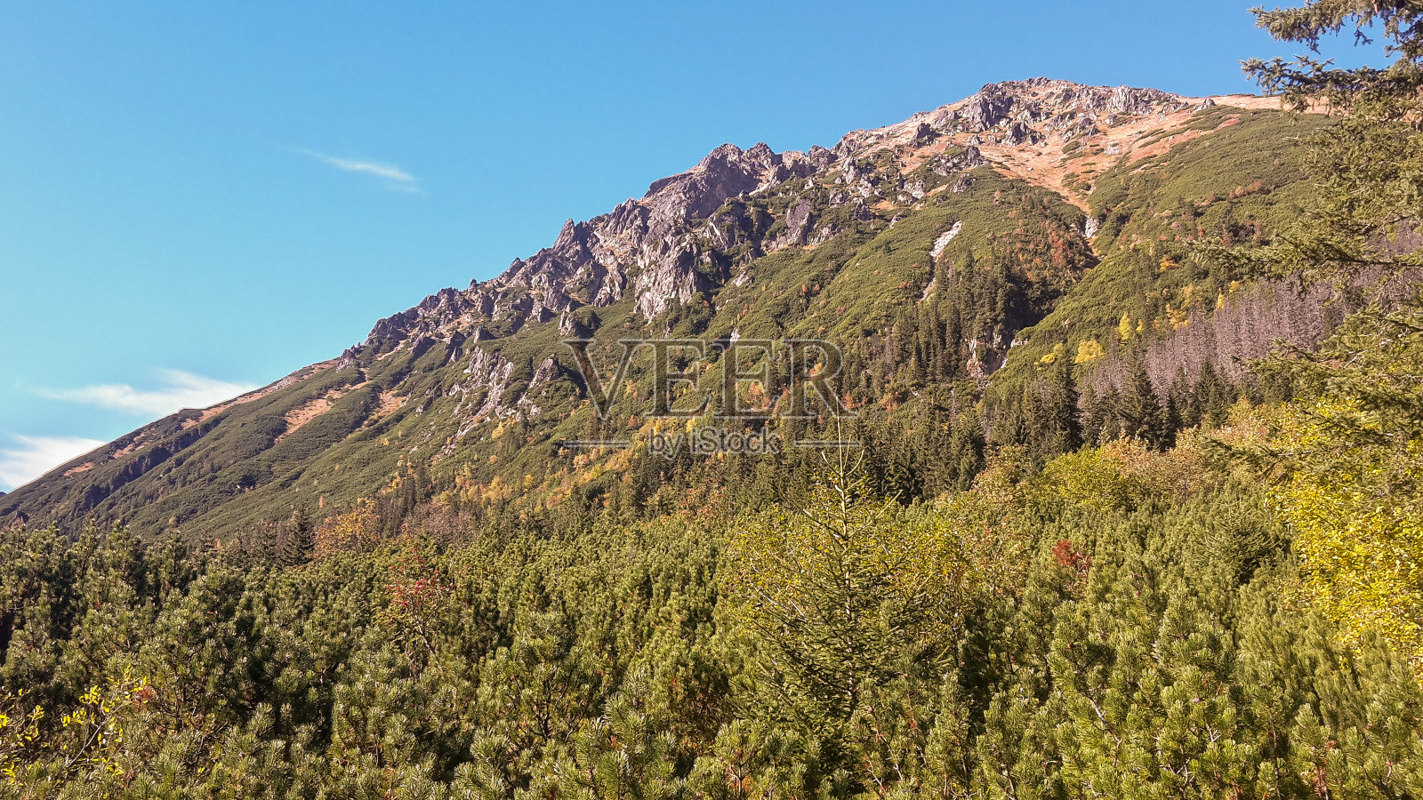 山上的柏油路，绿树蓝天。波兰塔特拉山脉通往莫斯基奥科的路。照片摄影图片