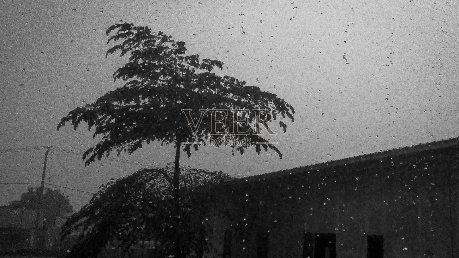 雨照片摄影图片