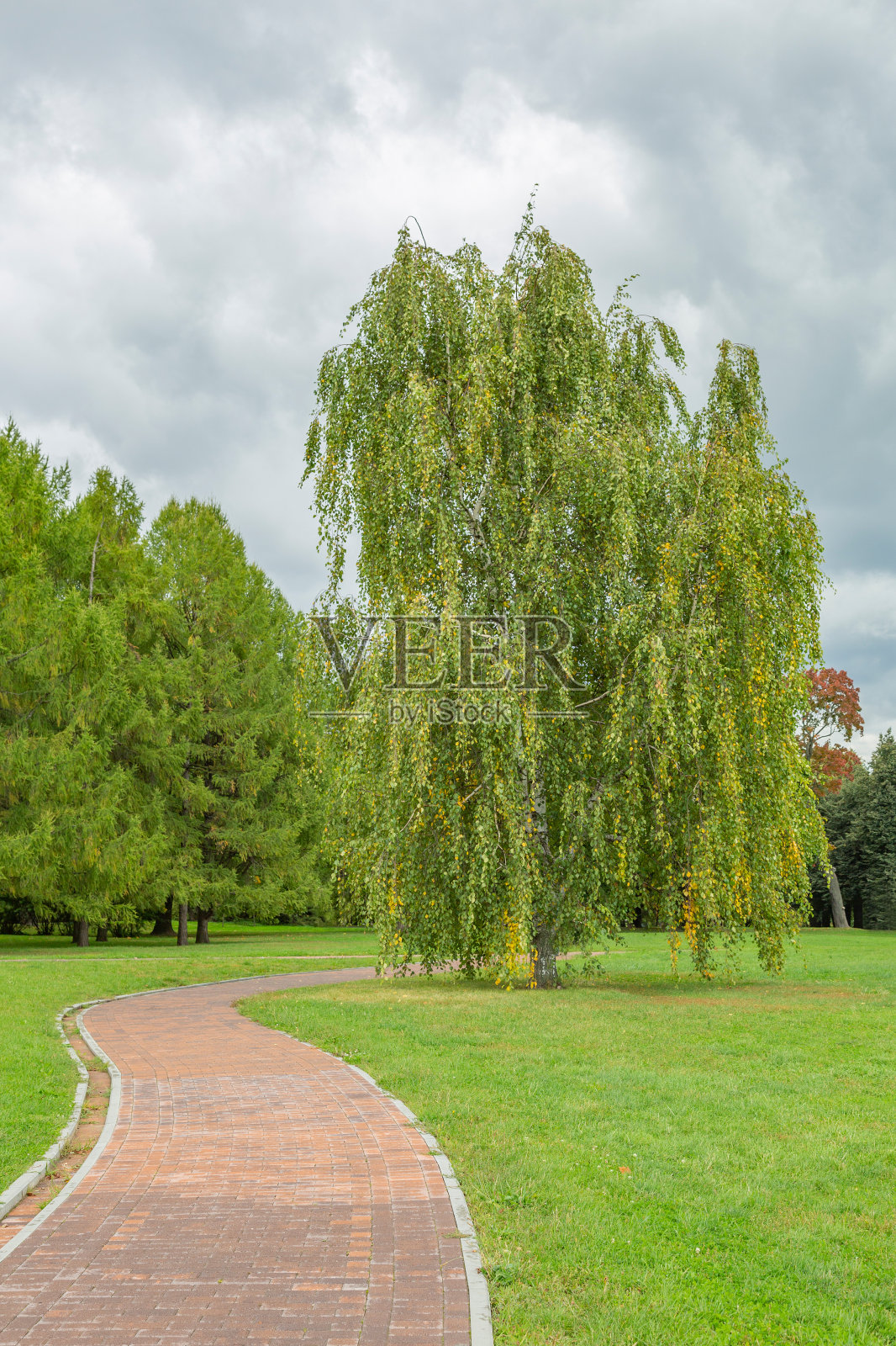 夏日公园里的步道照片摄影图片