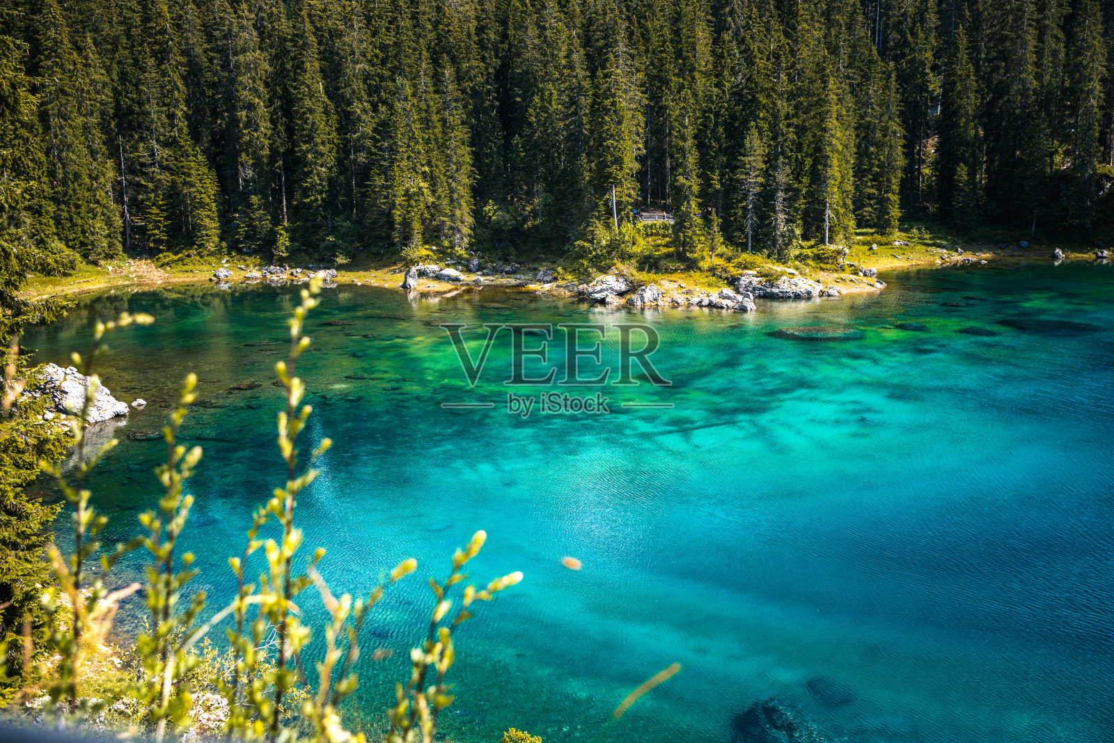 卡瑞萨湖或卡瑞萨湖与白云石阿尔卑斯山脉的反射山，白云石，南蒂罗尔，意大利。照片摄影图片