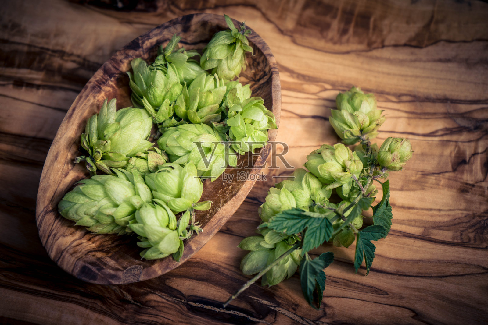 啤酒花照片摄影图片