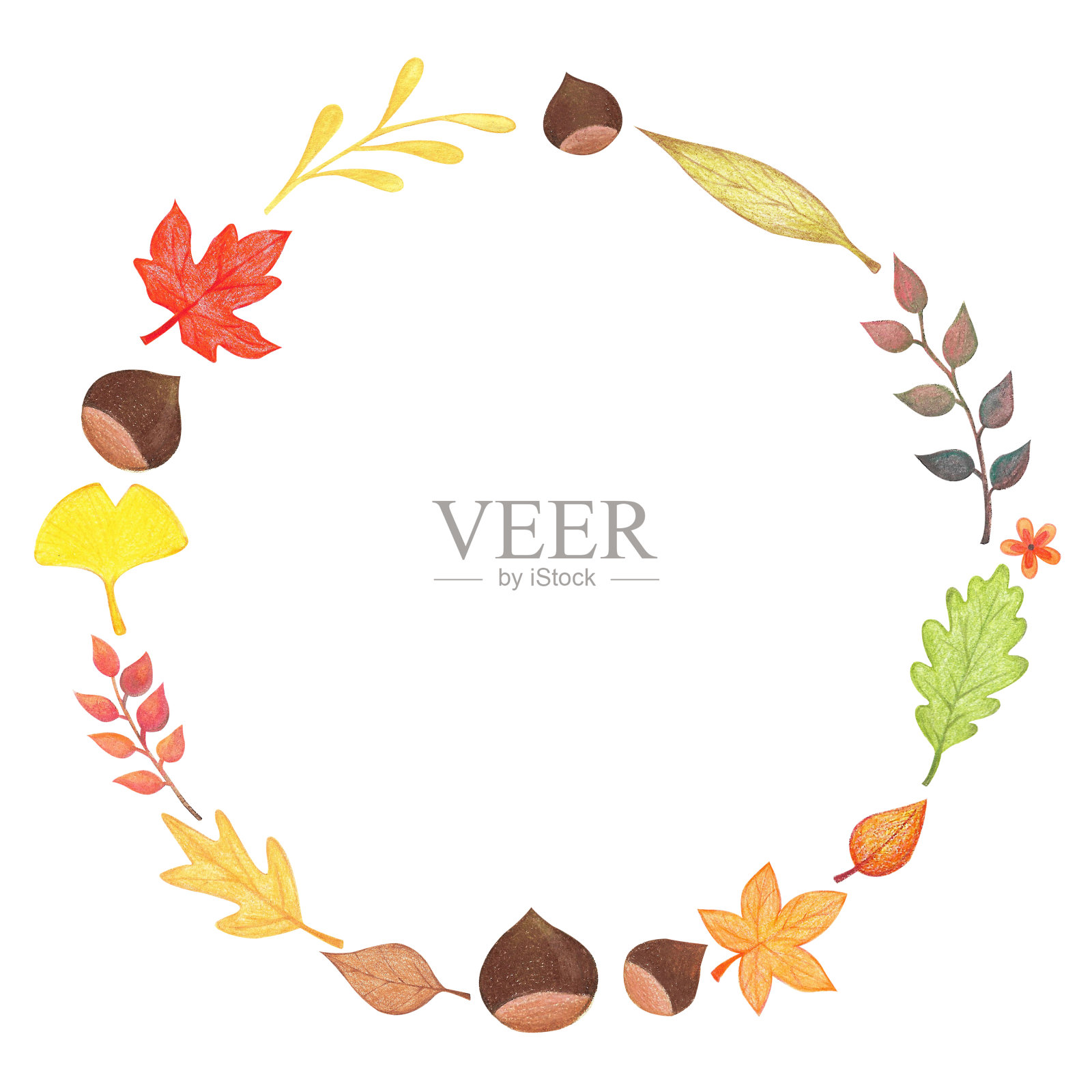 秋天的插图-秋天的树叶框架插画图片素材