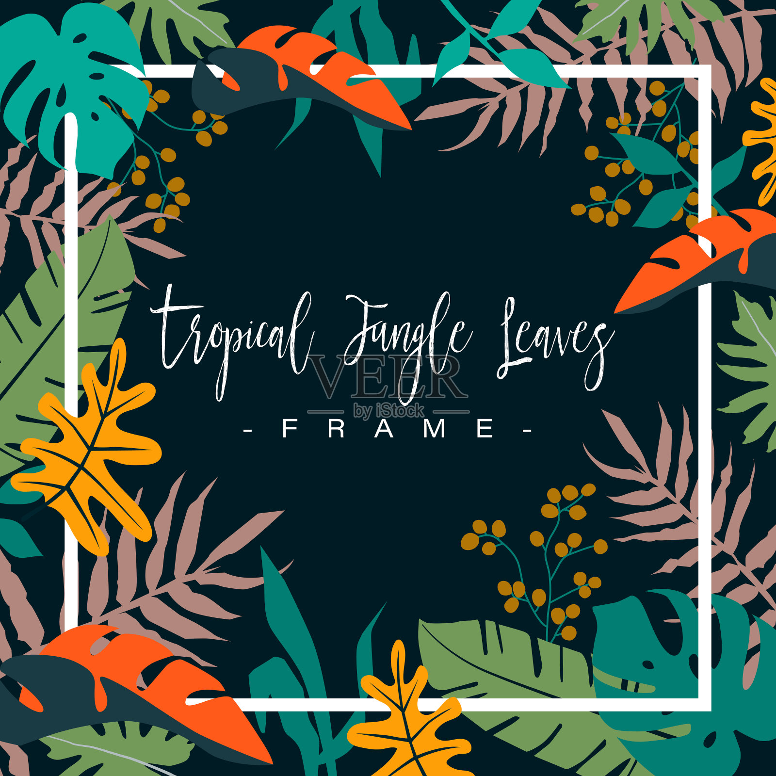 色彩斑斓的热带丛林树叶在黑暗的背景。插画图片素材