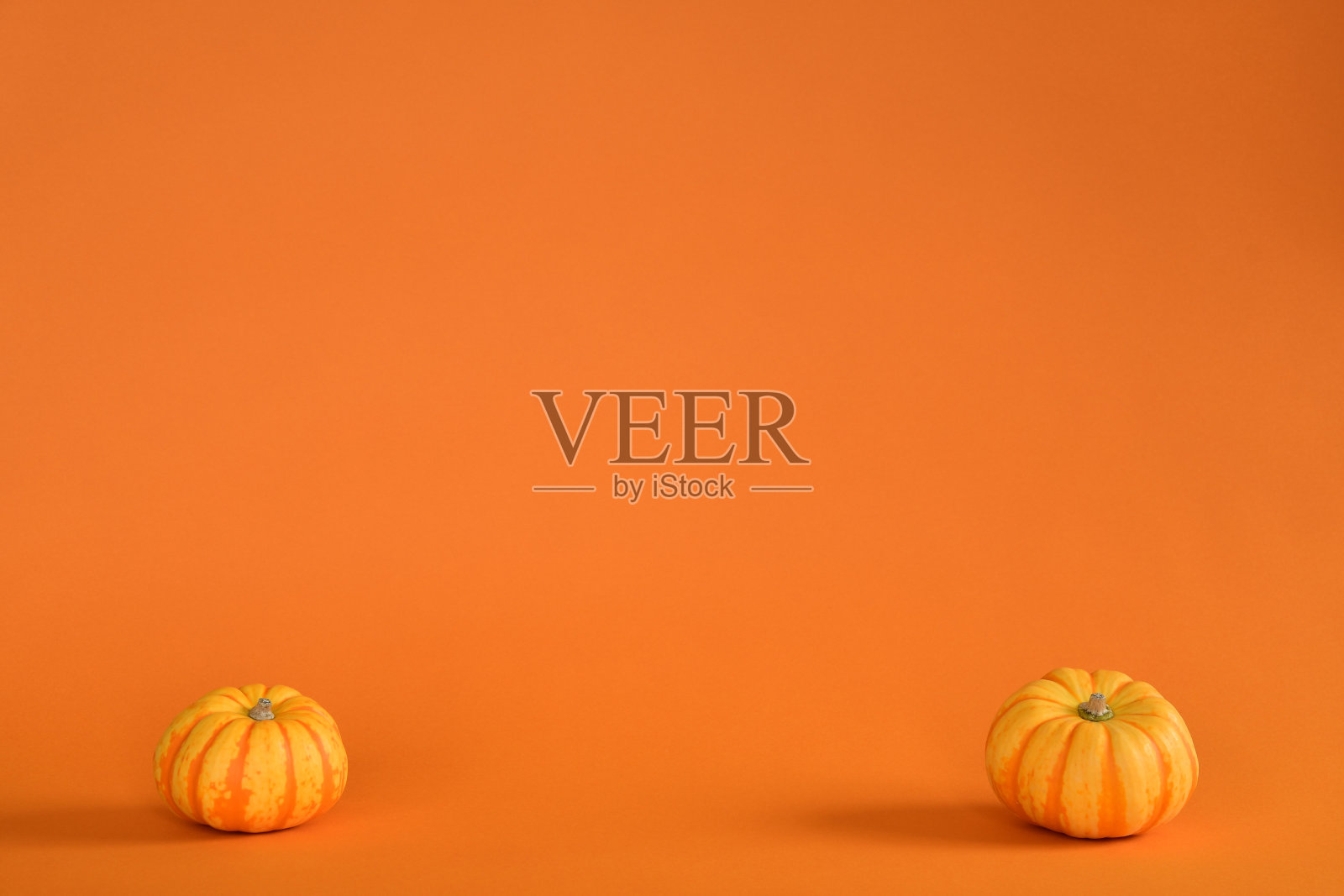 南瓜孤立在橙色背景。照片摄影图片