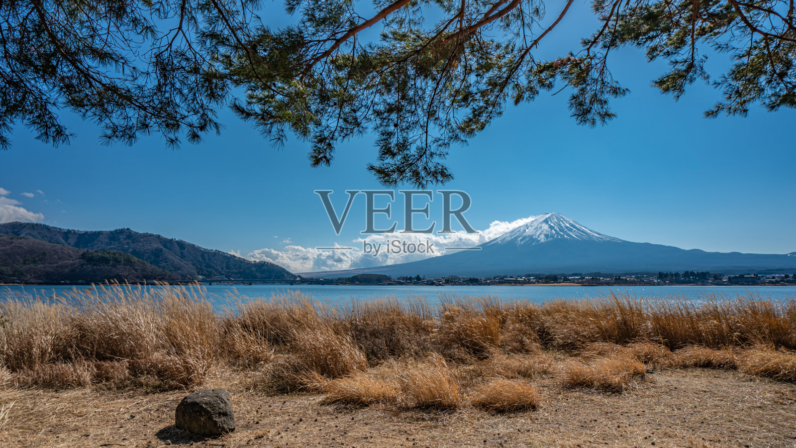 假期的照片照片摄影图片