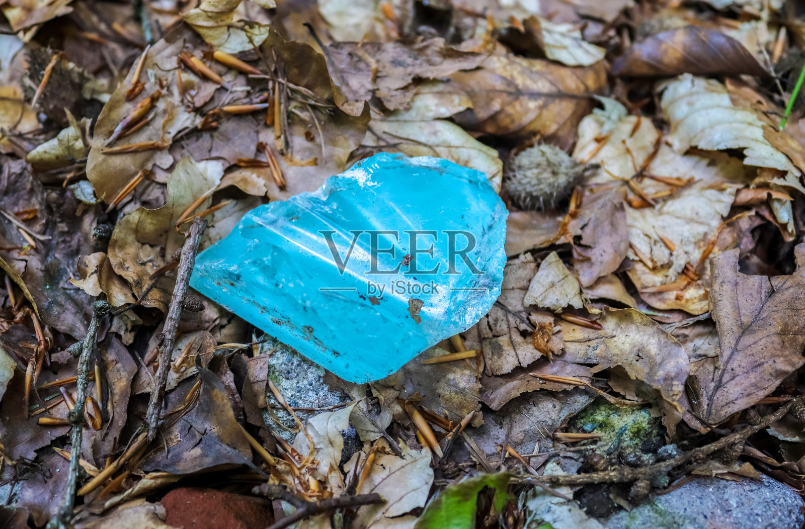 详细的近距离观察森林地面纹理与苔藓和树枝照片摄影图片