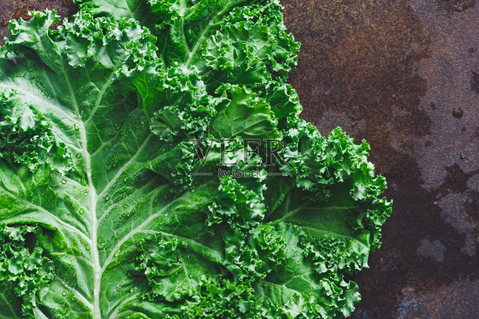 新鲜的卷曲羽衣甘蓝沙拉在黑暗的乡村背景。照片摄影图片