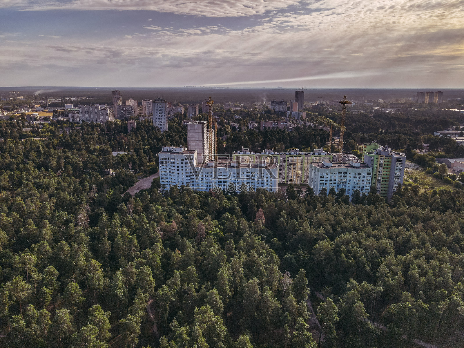 森林和城市。松树公园的背景是一个大城市。乌克兰。基辅。照片摄影图片