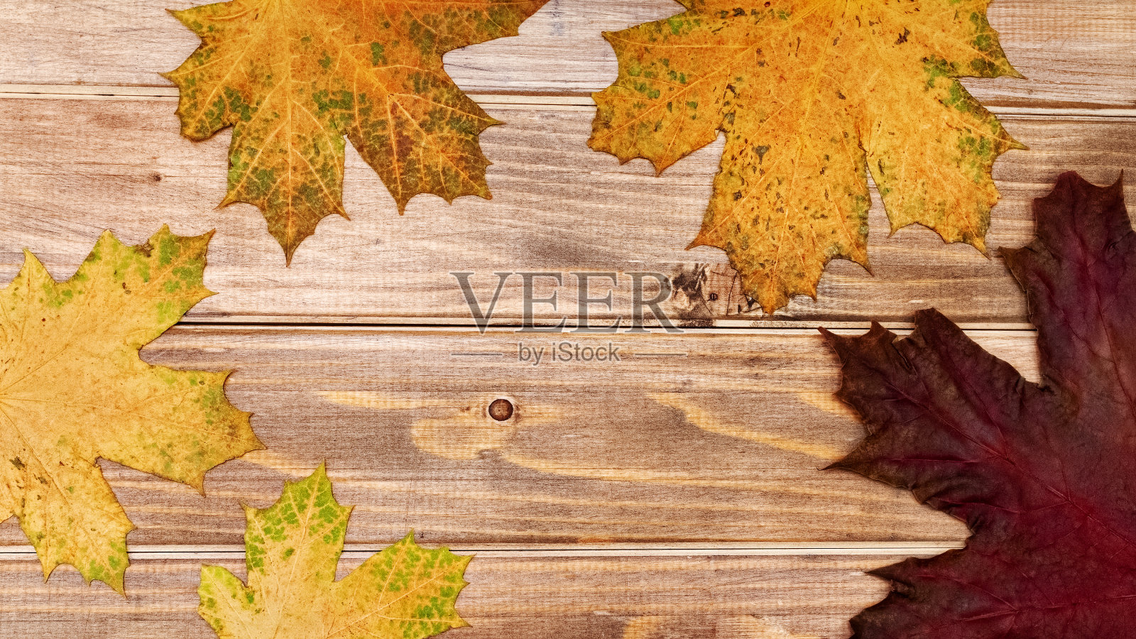 黄色和红色的枫叶躺在棕色的老木头背景照片摄影图片