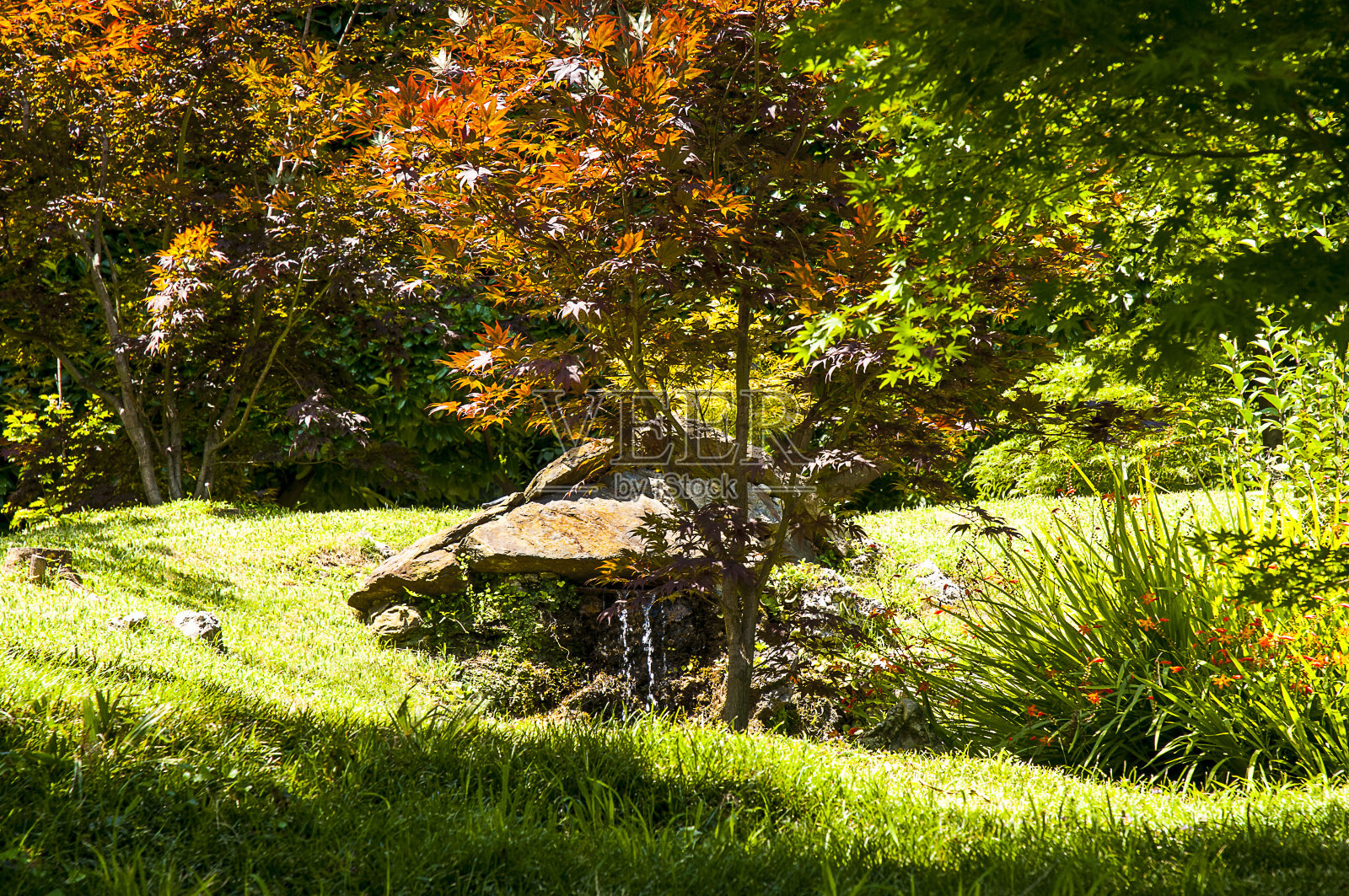 科莫湖被美丽的别墅和花园包围着。这是一个令人难忘的地方照片摄影图片