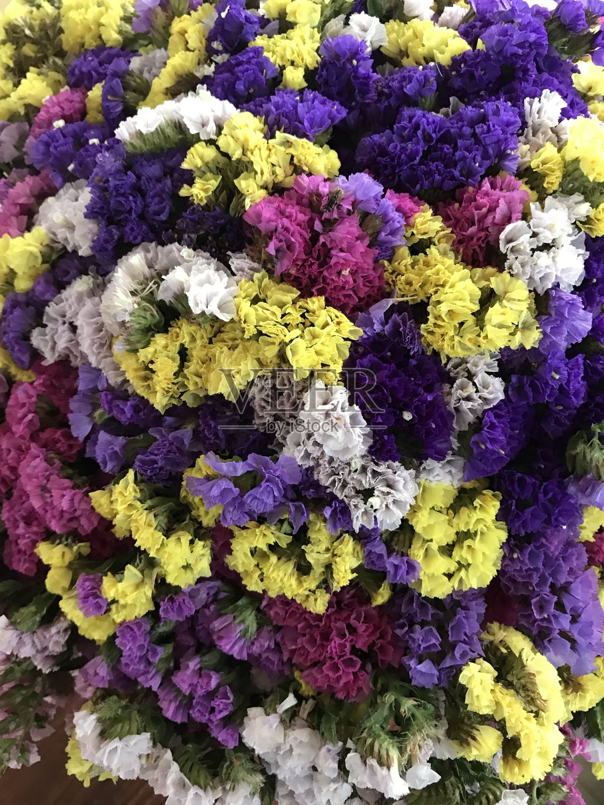 近距离的彩色花在蓝色，黄色，红色和白色安排在一个花瓶照片摄影图片